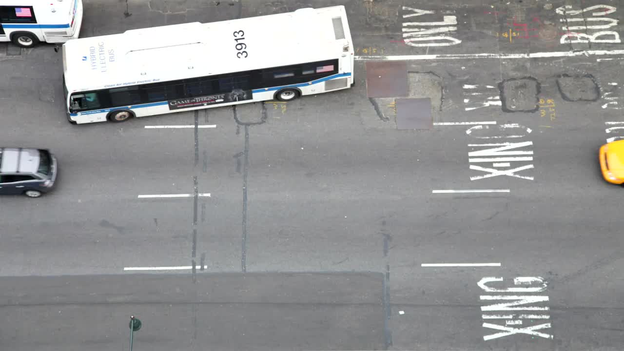 Free Video Stock timelapse of an avenue Live Wallpaper