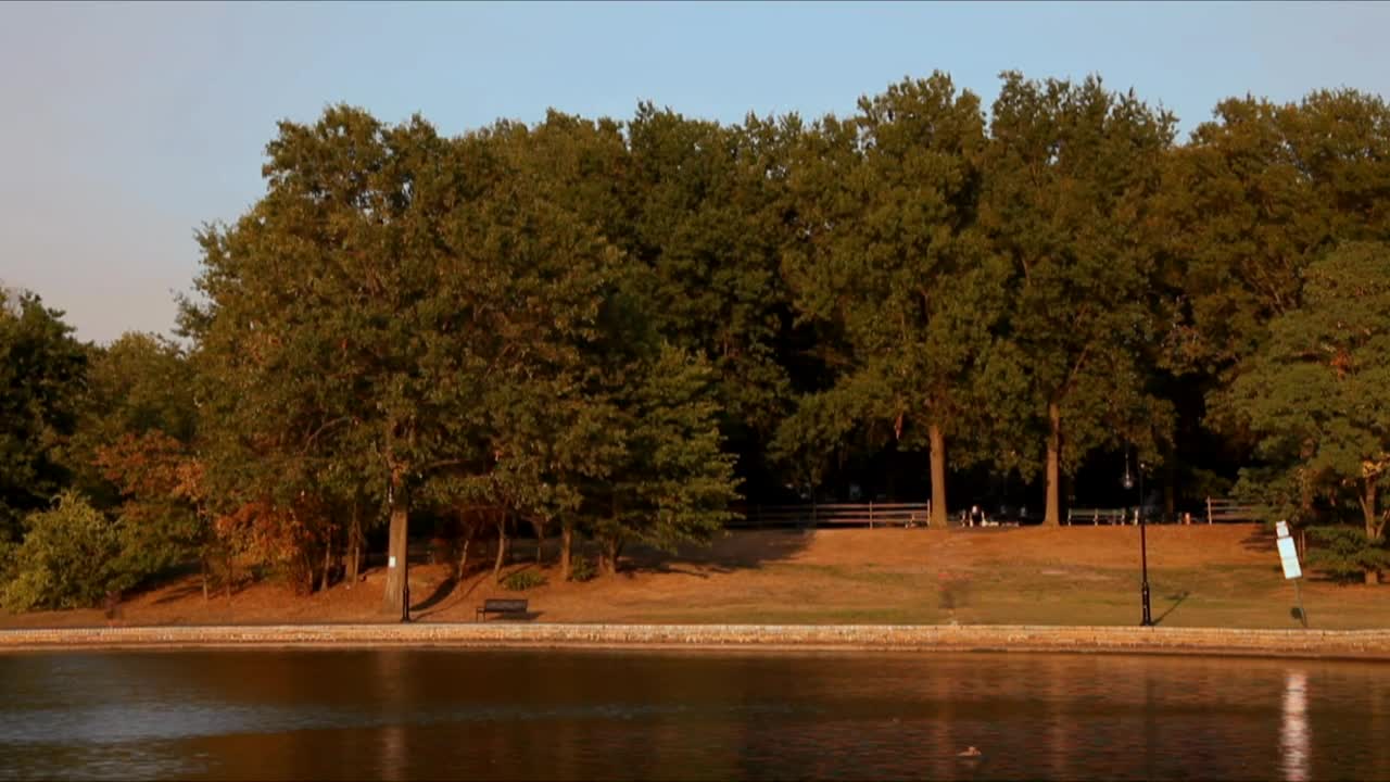 Free Video Stock timelapse of people walking in a park Live Wallpaper
