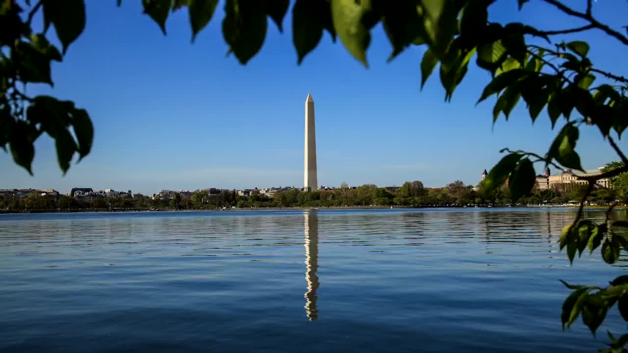 Free Video Stock timelapse of the washington momument Live Wallpaper