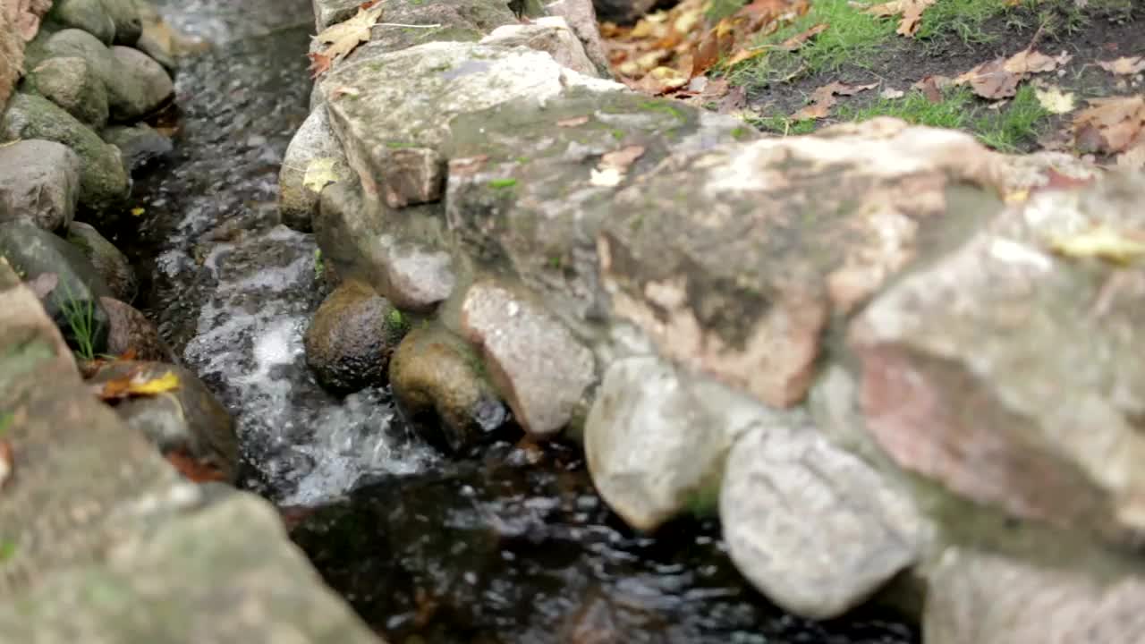 Free Video Stock tiny garden stream flowing Live Wallpaper