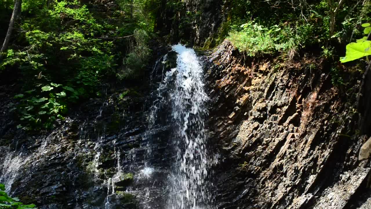 Free Video Stock tiny waterfall in a forest Live Wallpaper