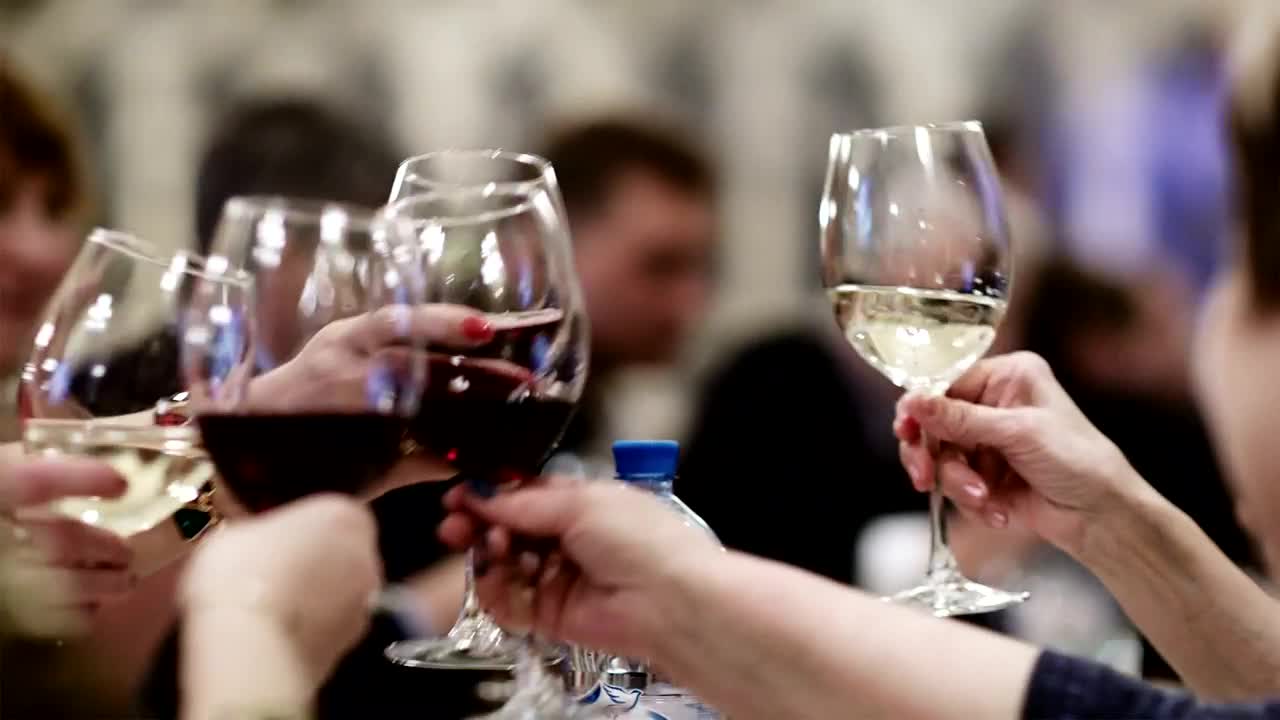 Free Video Stock toasting with wine glasses during a night out Live Wallpaper