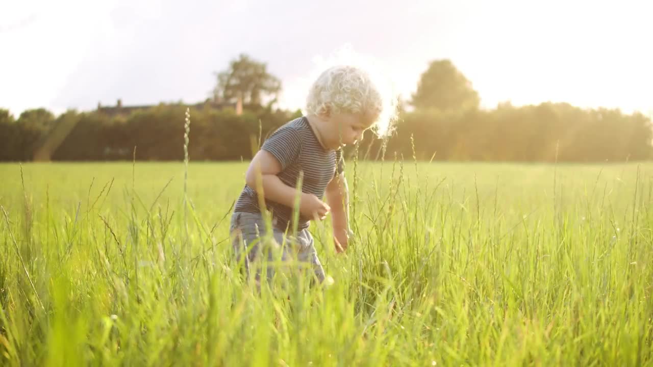Free Video Stock toddler picking grass Live Wallpaper