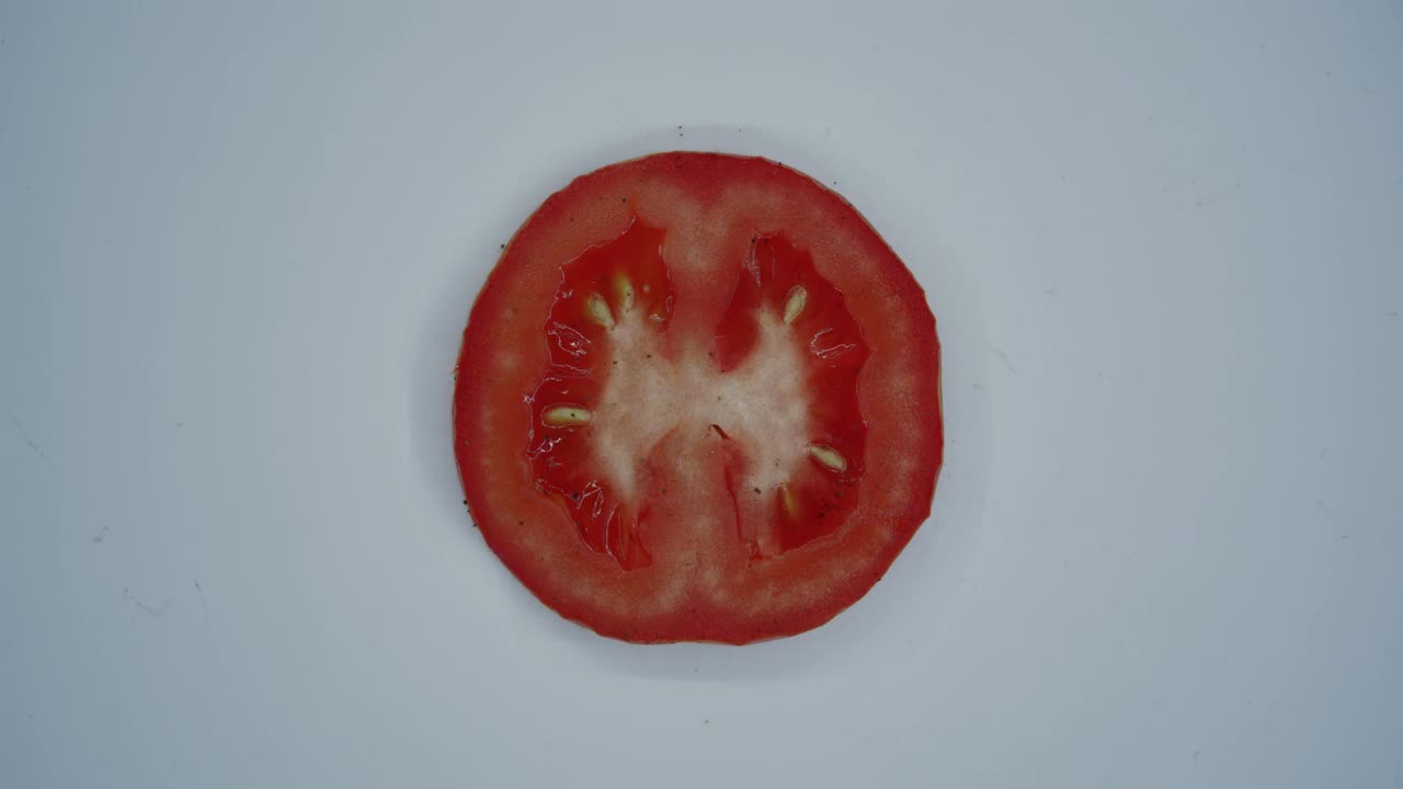 Free Video Stock tomato decomposing time lapse Live Wallpaper