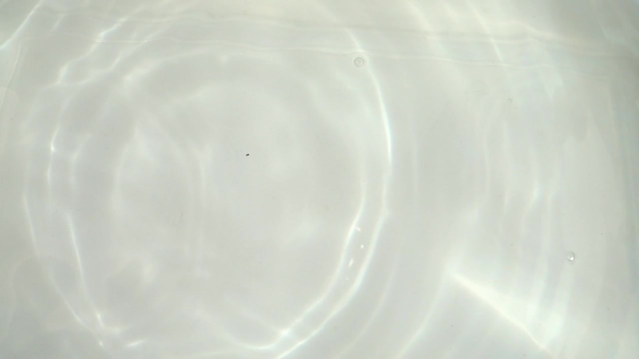 Free Video Stock tomatoes falling into a washing bowl Live Wallpaper