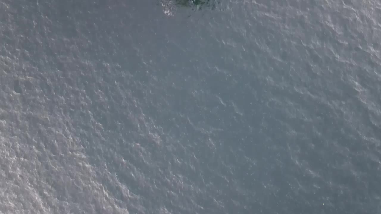 Free Video Stock top aerial shot of a cargo ship anchored Live Wallpaper