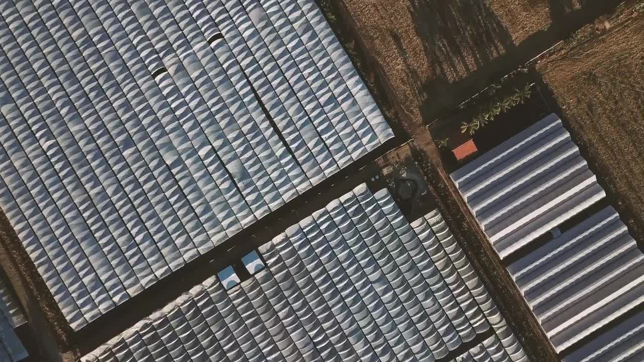 Free Video Stock top aerial view of a lot of greenhouses Live Wallpaper
