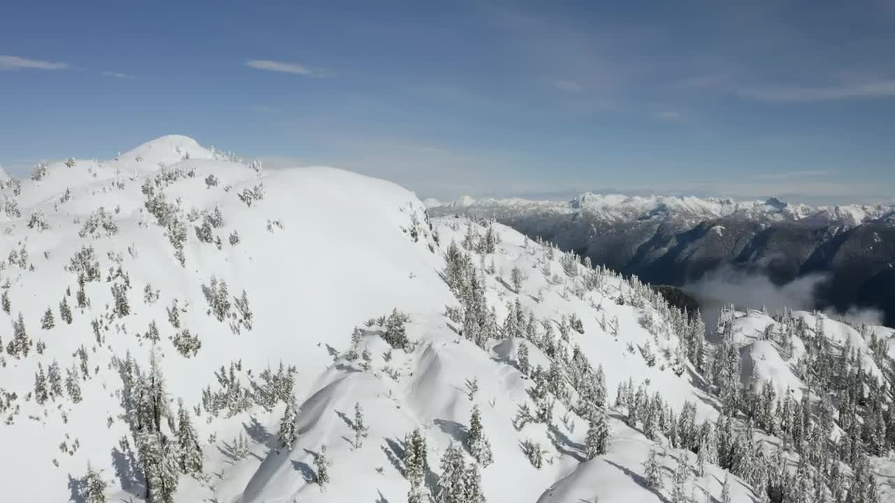 Free Video Stock top of a hill covered with snow and pines Live Wallpaper