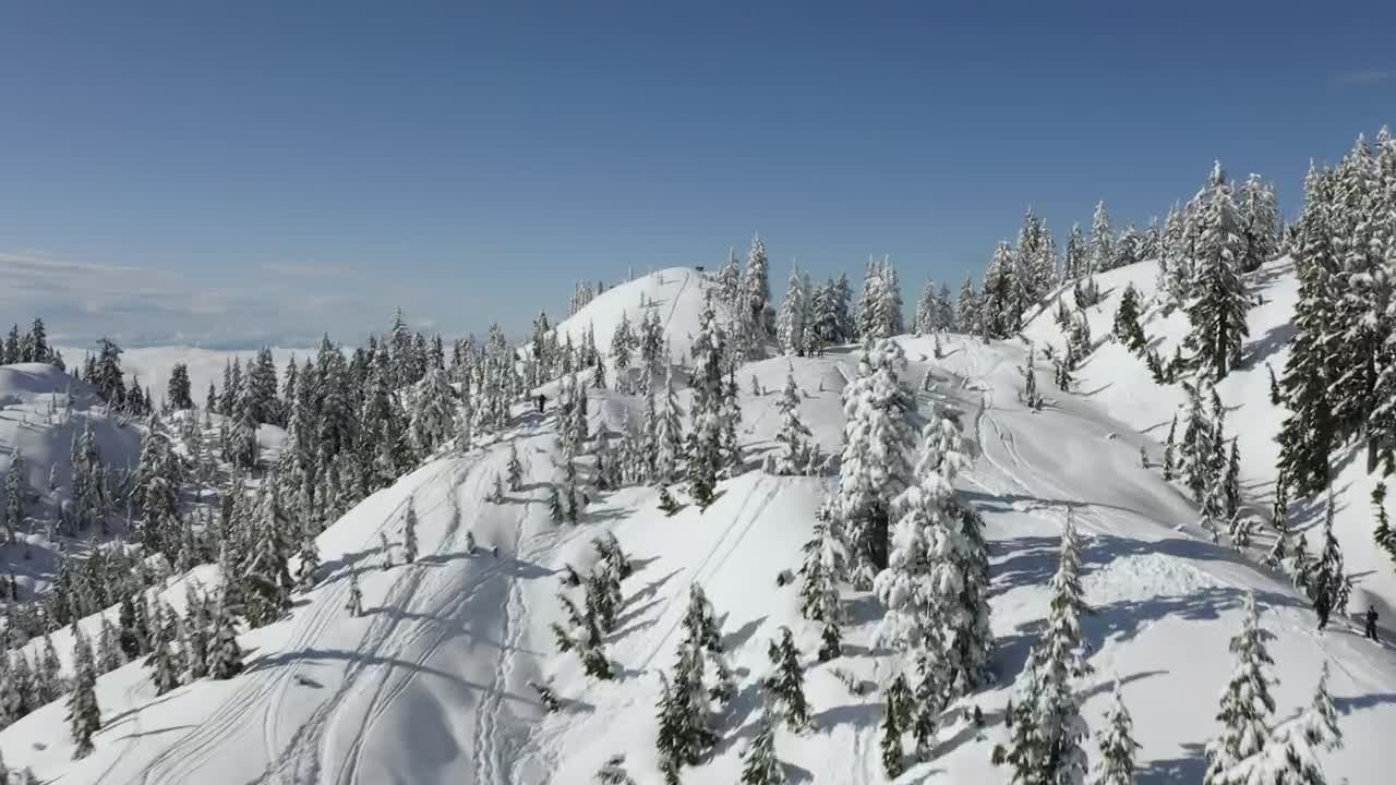 Free Video Stock top of a snow covered mountain range and pine forests Live Wallpaper