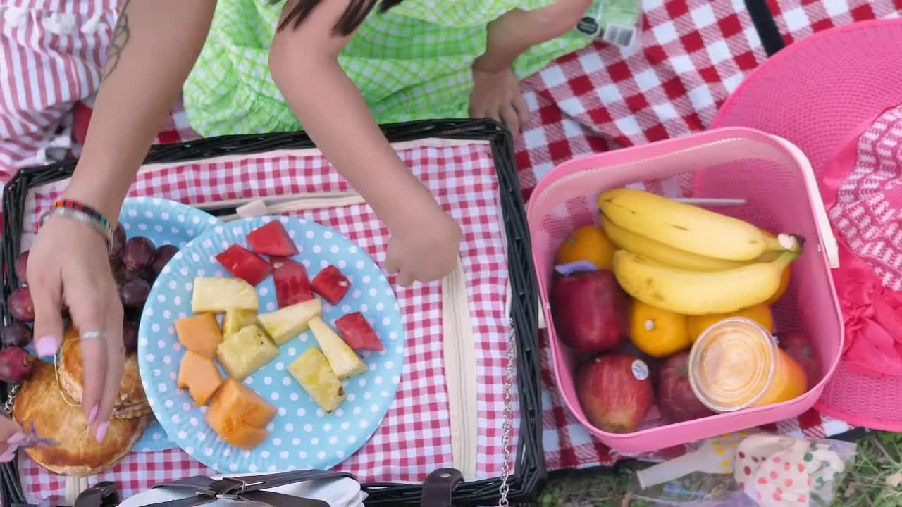 Free Video Stock top shot of a picnic in the park Live Wallpaper