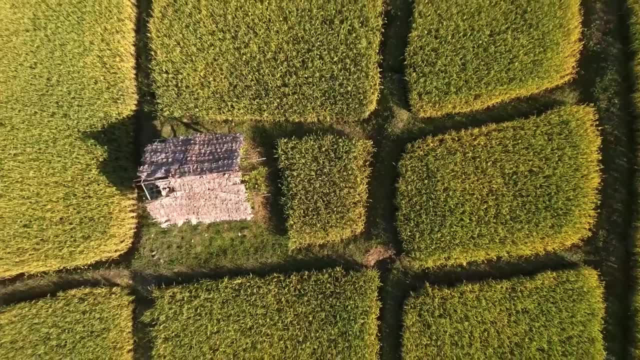 Free Video Stock top zoom out aerial shot in the countryside Live Wallpaper