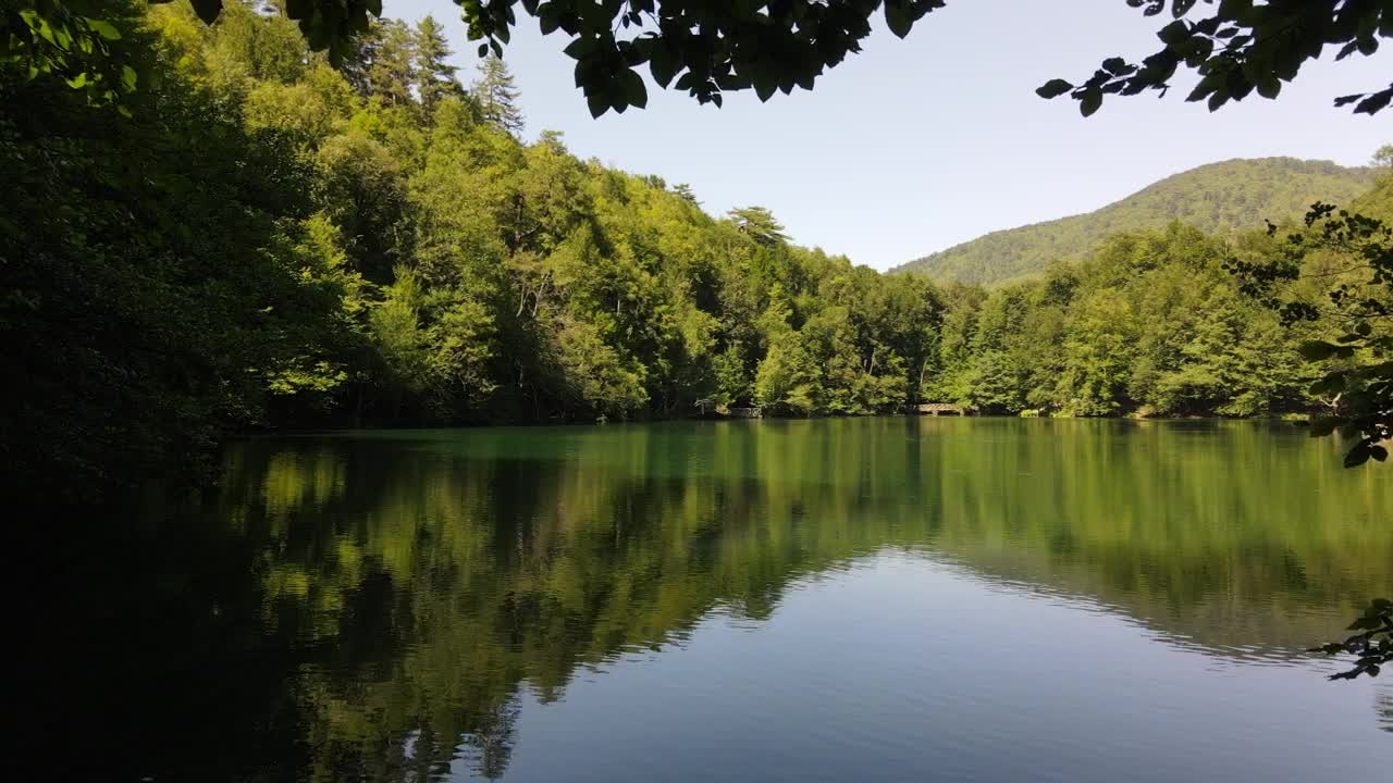 Free Video Stock tour a lake in the middle of a pine forest Live Wallpaper