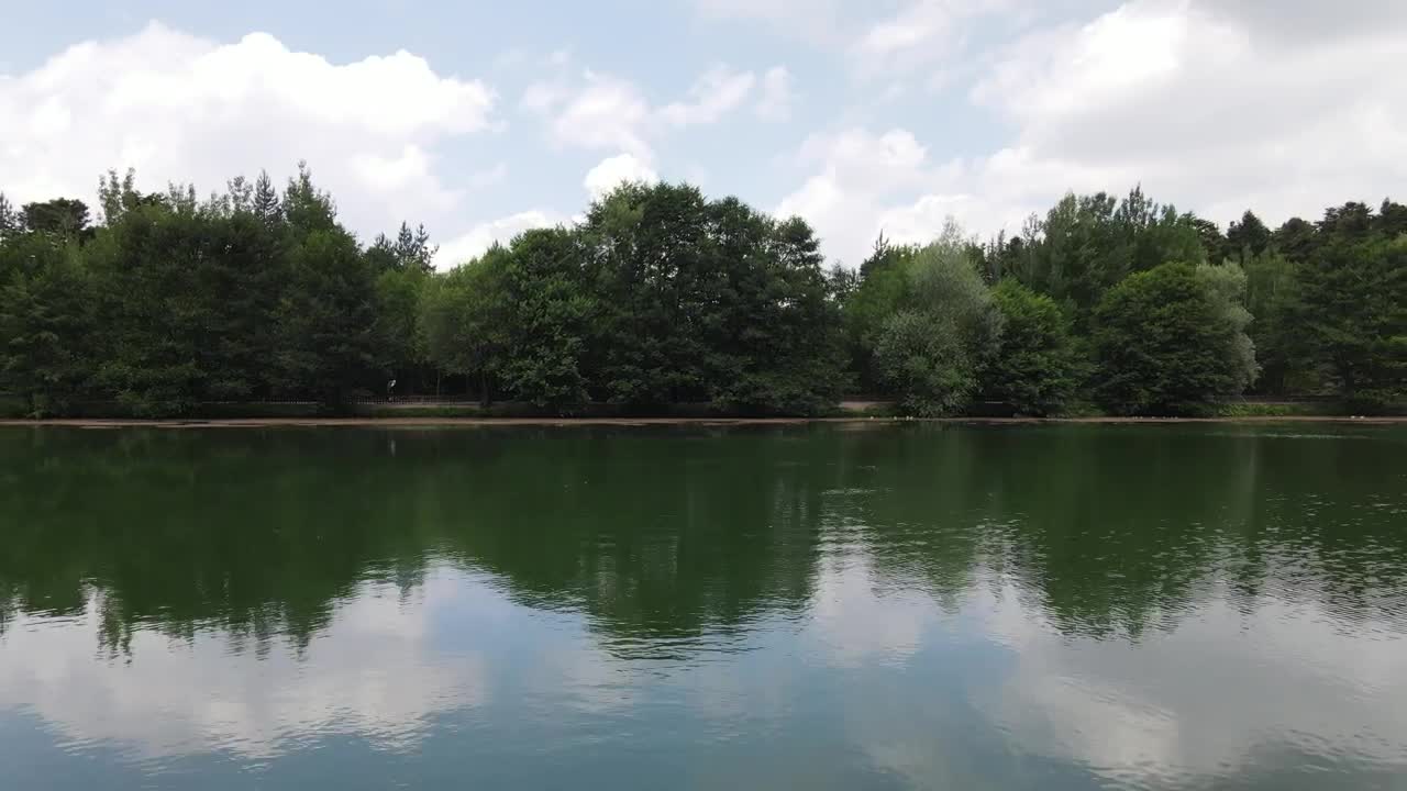Free Video Stock touring a lake in the middle of a pine forest Live Wallpaper