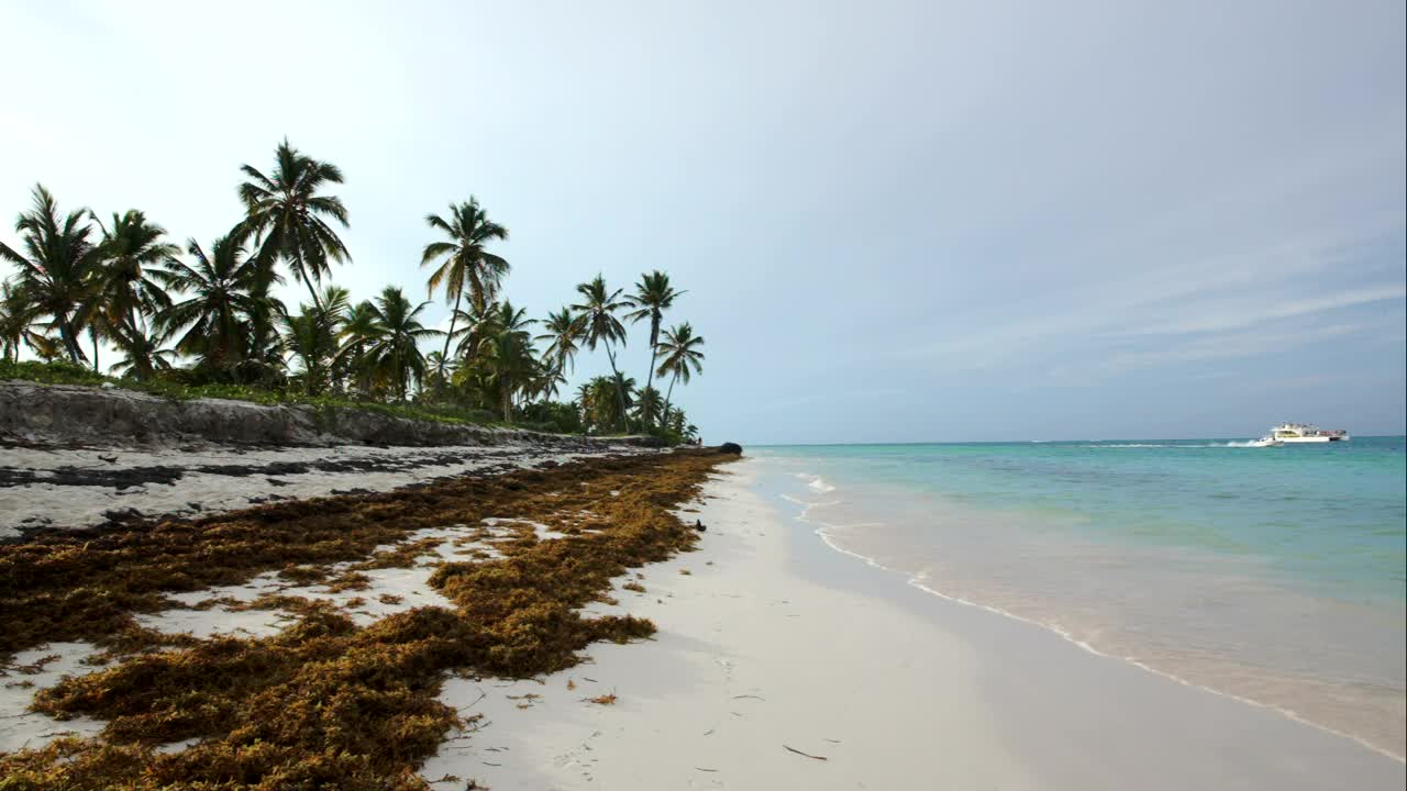 Free Video Stock tourist boat heading by an island Live Wallpaper