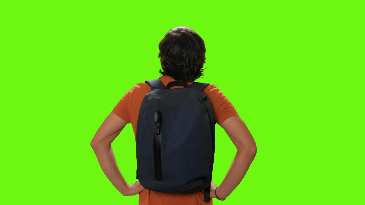 Free Video Stock tourist from behind appreciating the view on a chroma key Live Wallpaper