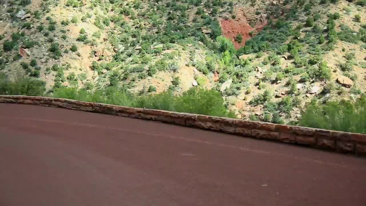 Free Video Stock tourists driving through a national park Live Wallpaper