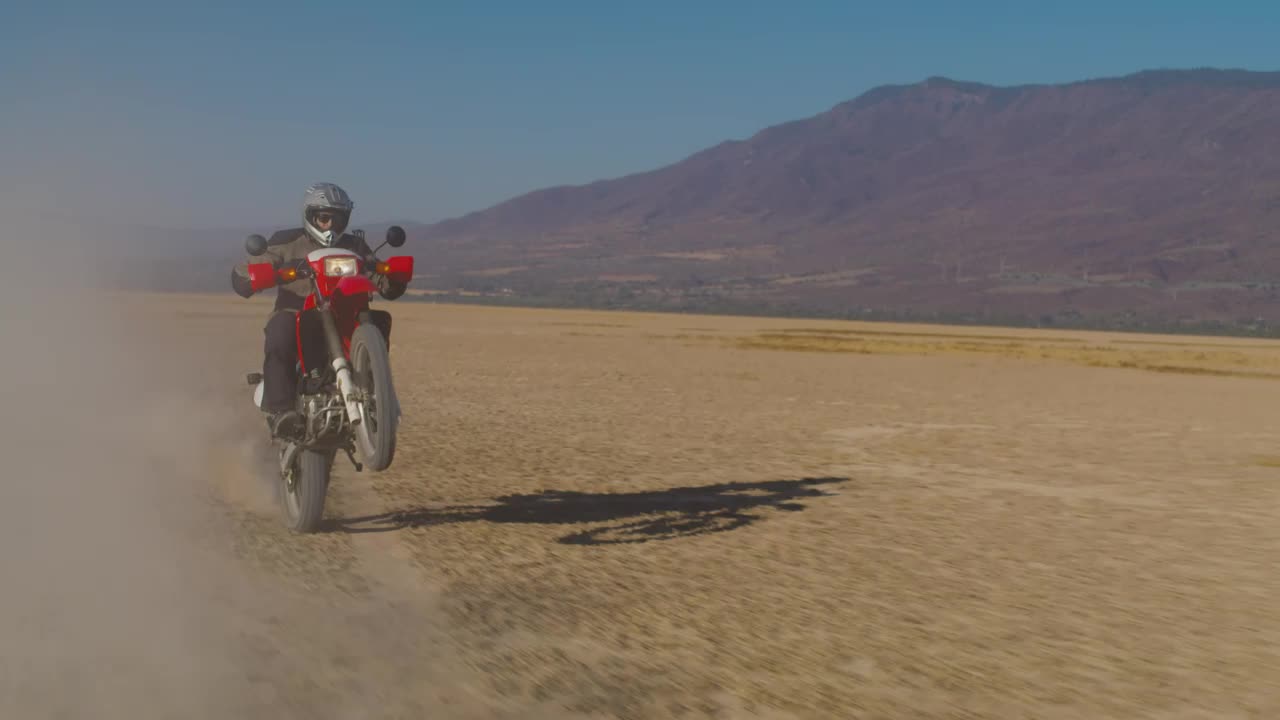 Free Video Stock tracking view of a biker doing a wheelie Live Wallpaper