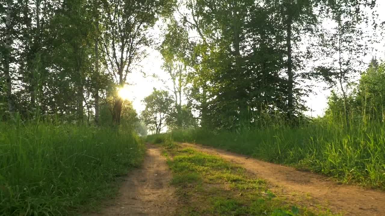 Free Video Stock tracks down a country lane Live Wallpaper