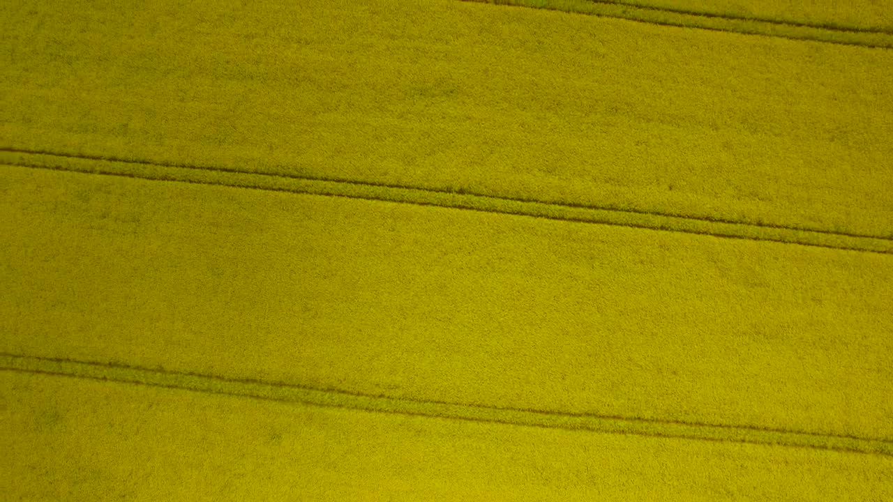 Free Video Stock tractor lanes across a field Live Wallpaper