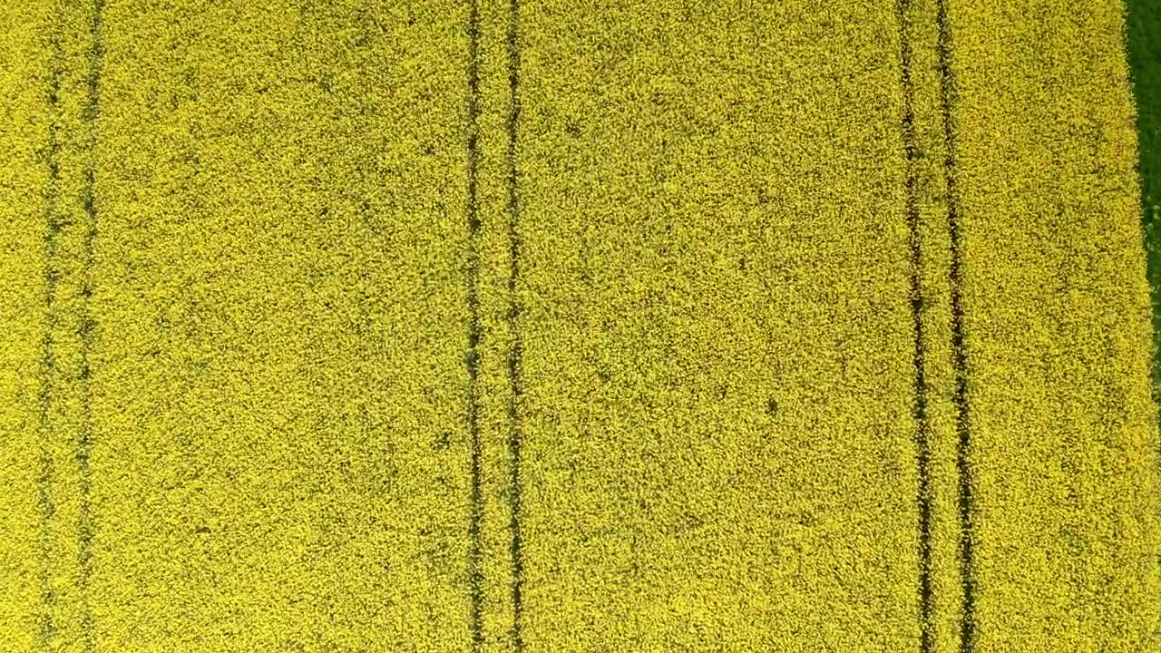 Free Video Stock tractor lanes in a field Live Wallpaper