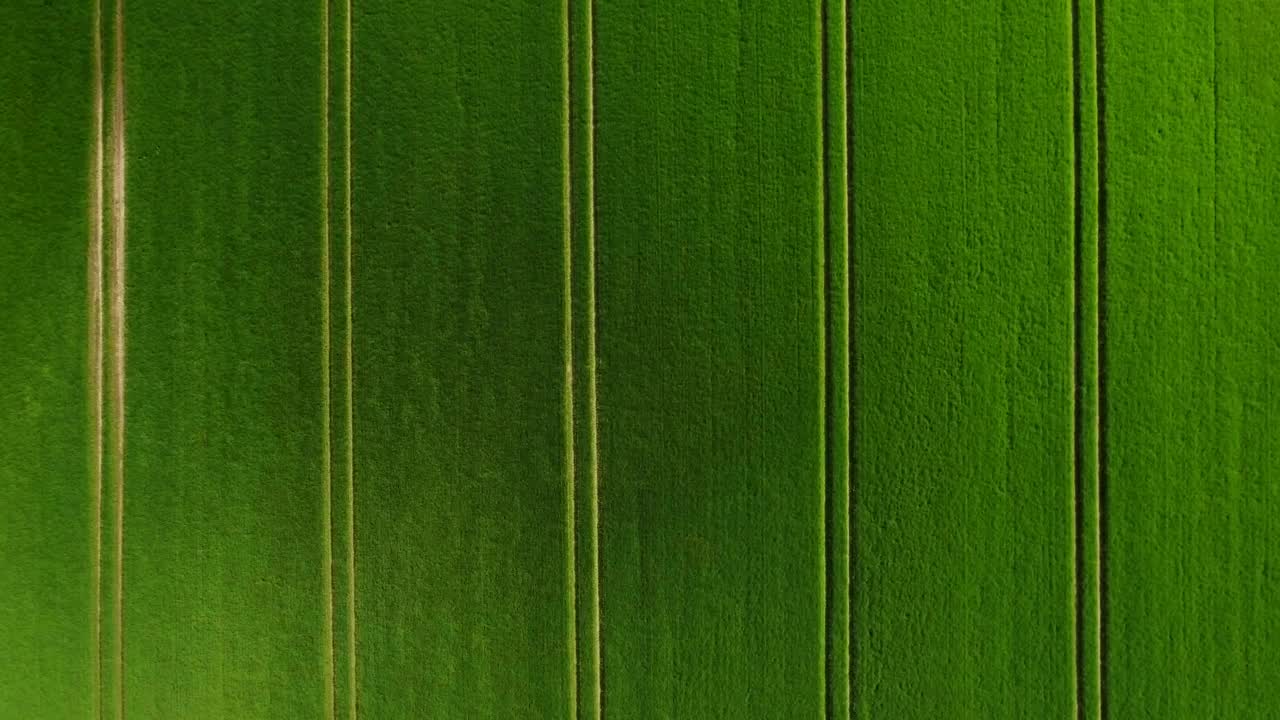 Free Video Stock tractor lanes in a green field Live Wallpaper