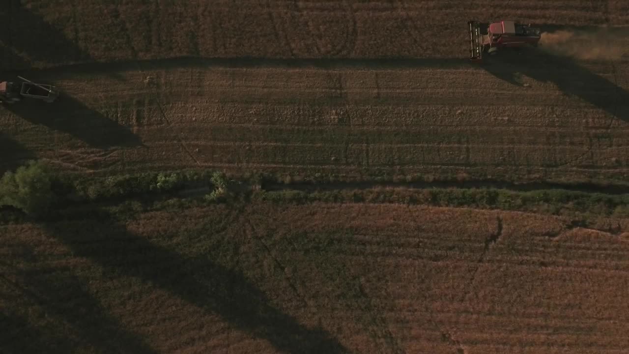 Free Video Stock tractor working a field Live Wallpaper