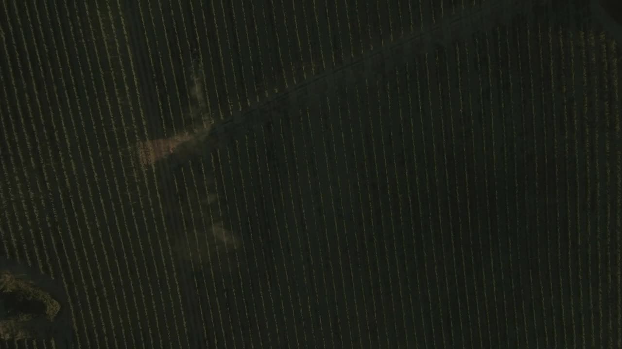 Free Video Stock tractor working in a dusty field Live Wallpaper