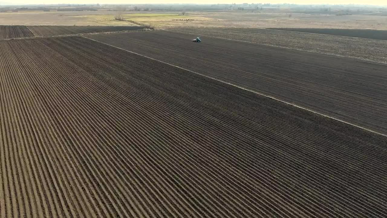 Free Video Stock tractor working on a large agricultural field  largeLive Wallpaper