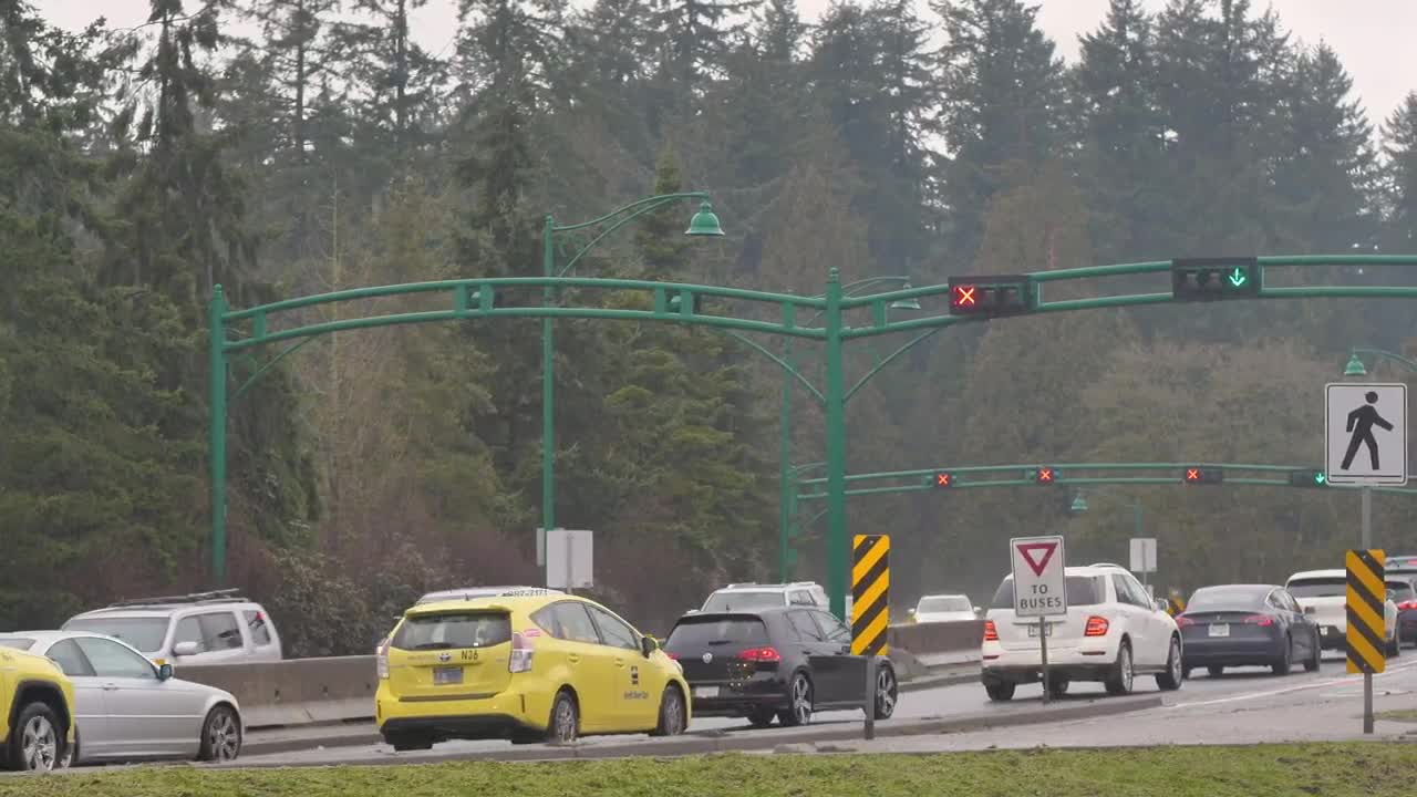 Free Video Stock traffic jam on a highway in a pine forest Live Wallpaper