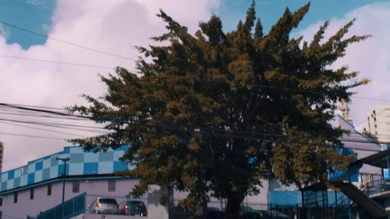 Free Video Stock traffic of a street Live Wallpaper