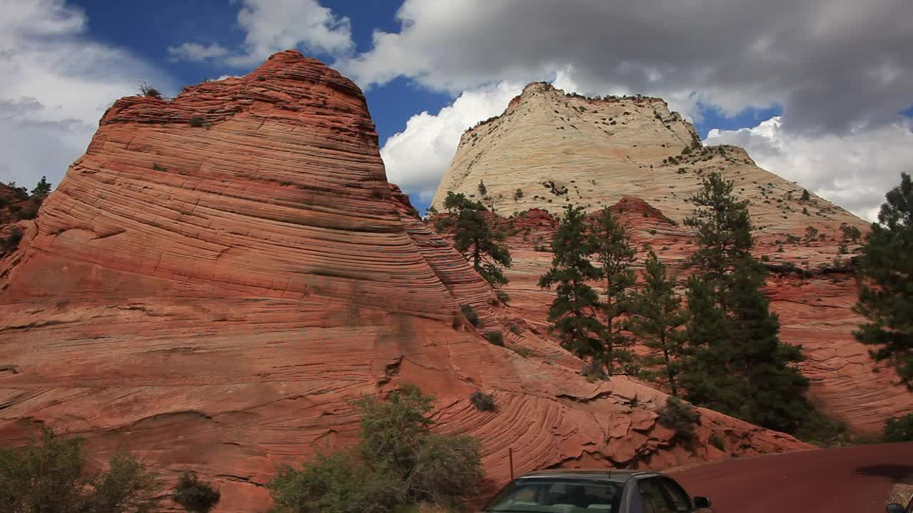 Free Video Stock traffic through a national park Live Wallpaper