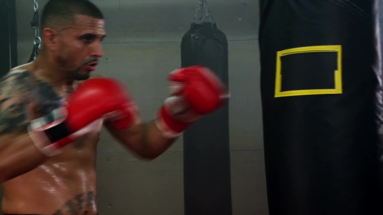 Free Video Stock training for a fight Live Wallpaper