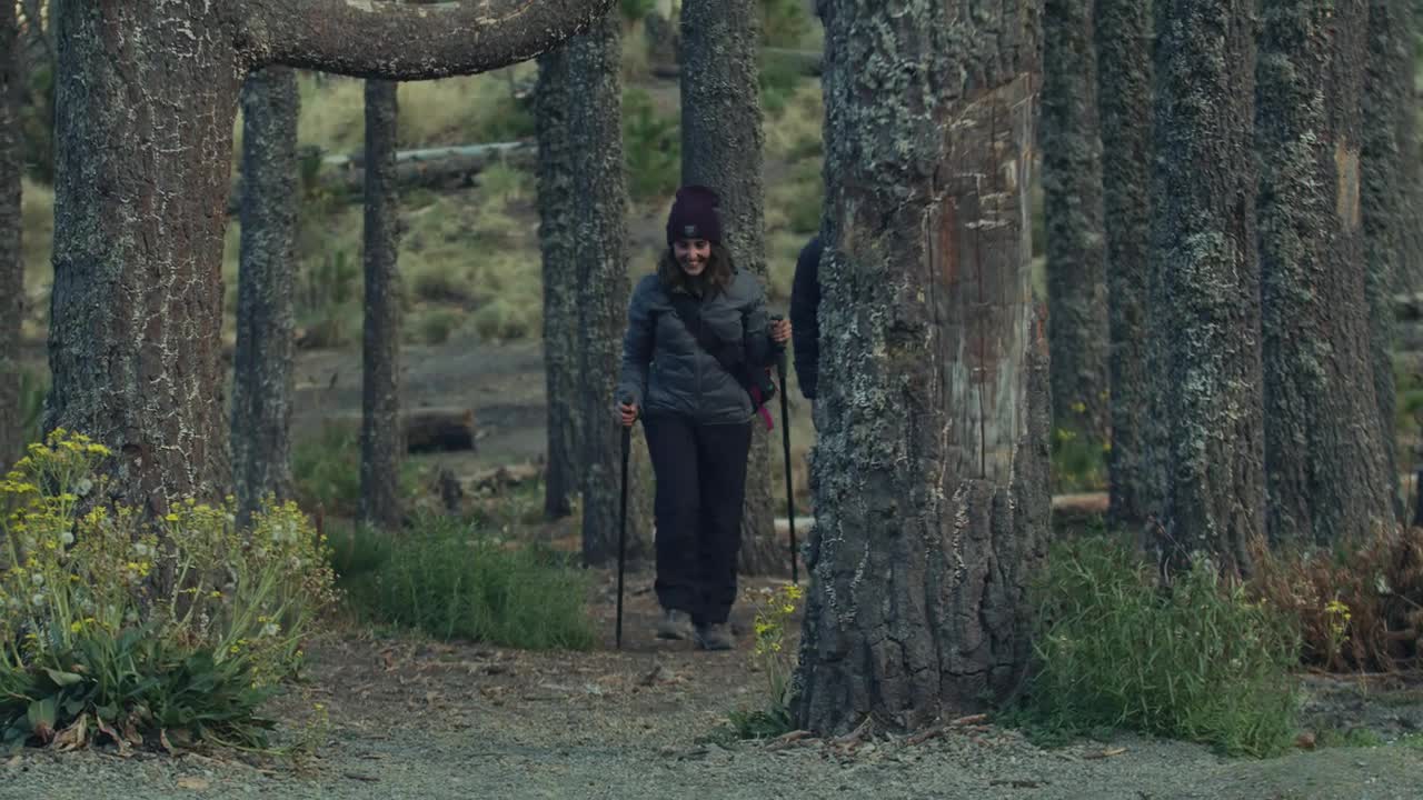 Free Stock Video Wedding Couple Hiking In The Forest Live Wallpaper