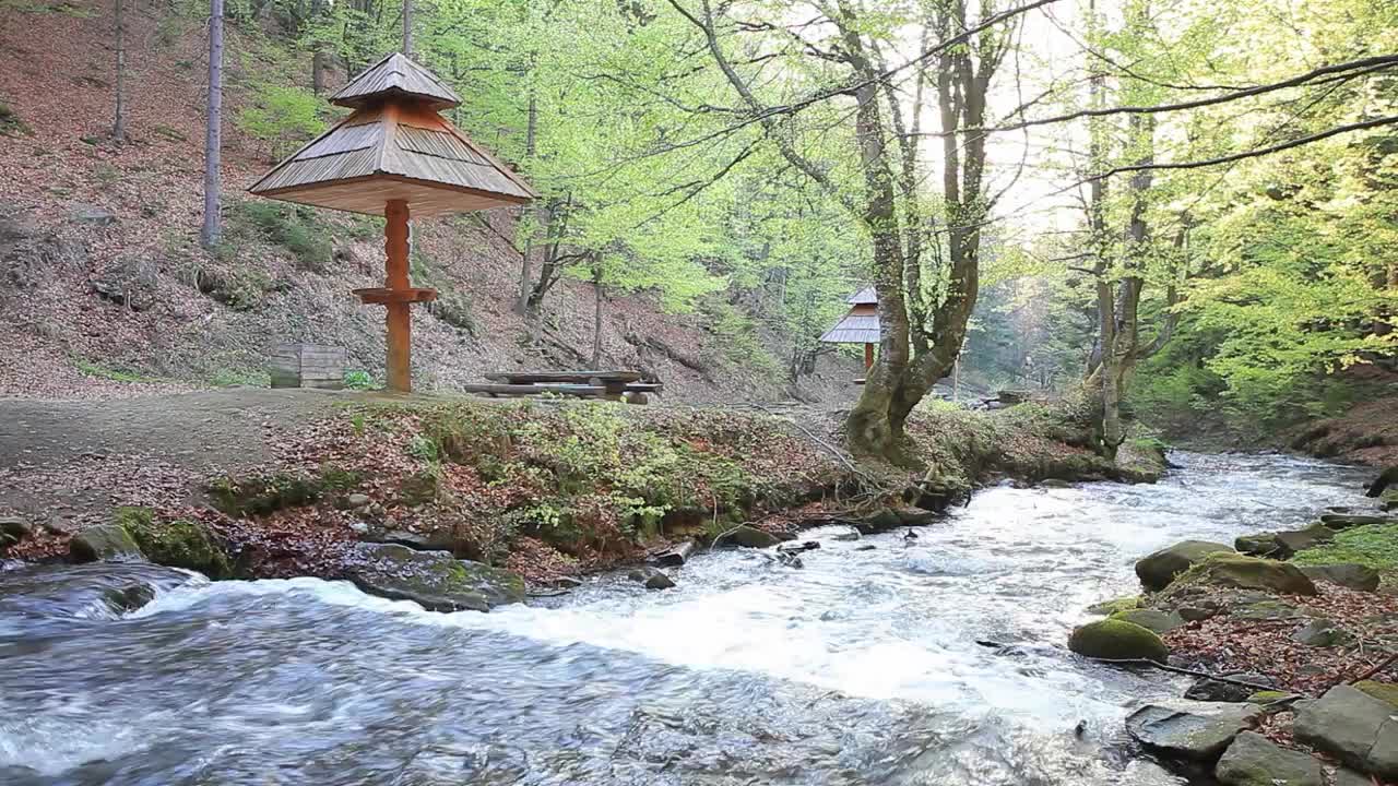 Free Stock Video Waterflow In A Forest Live Wallpaper