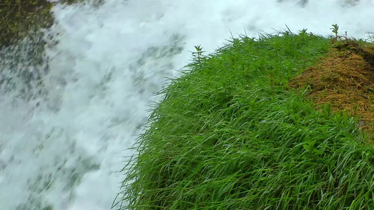 Free Stock Video Waterfall Seen Closely Static Shot Live Wallpaper