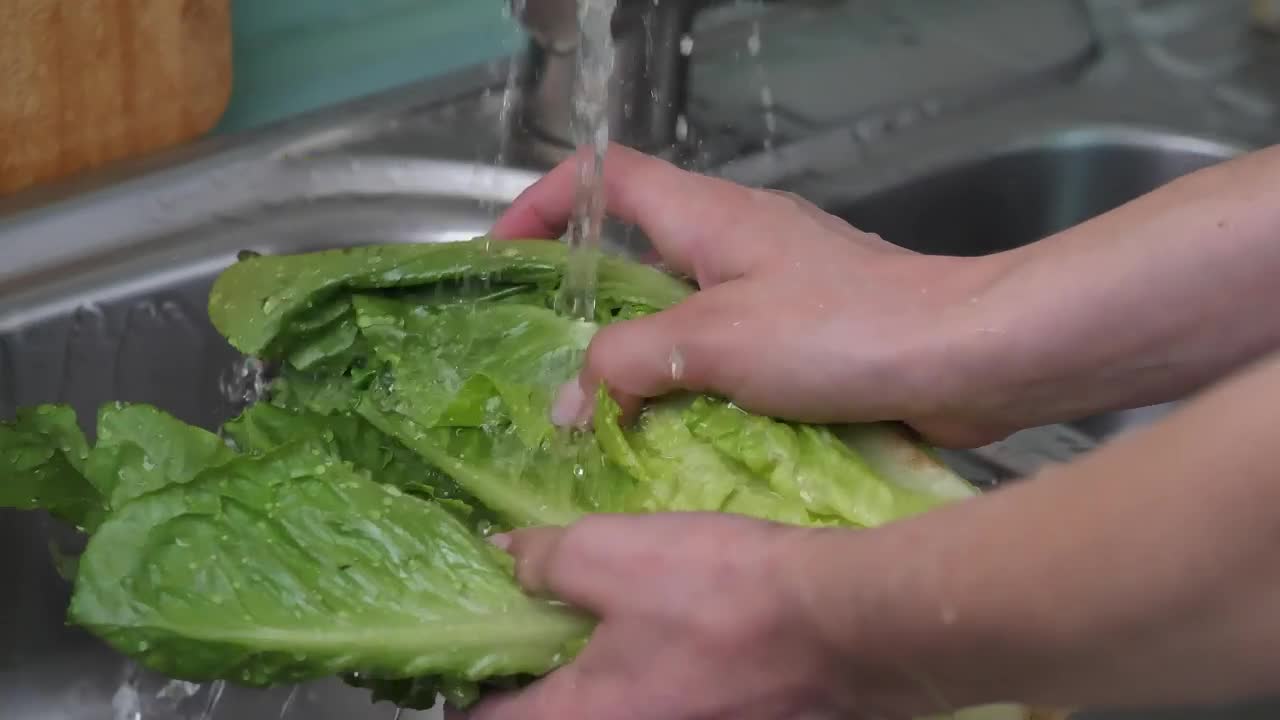 Free Stock Video Washing A Lettuce In The Kitchen Live Wallpaper