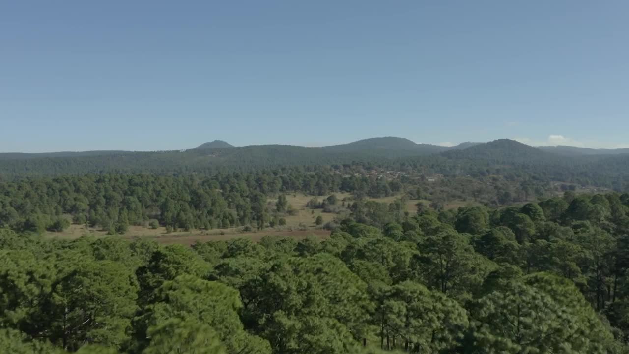 Free Stock Video Warm Natural Environment From Above On A Sunny Day Live Wallpaper