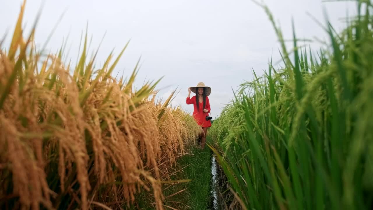 Free Stock Video Wanderlust Walking Through An Agriculture Field Live Wallpaper