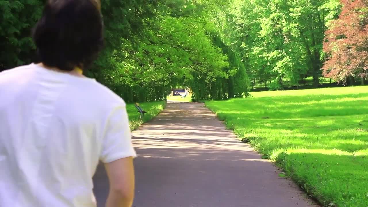Free Stock Video Walking Through A Sunny Park In Nature Live Wallpaper