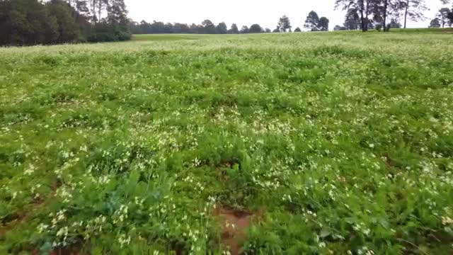 Free Stock Video Walking Through A Mountain Range Surrounded By A Large Forest Smalllive Wallpaper