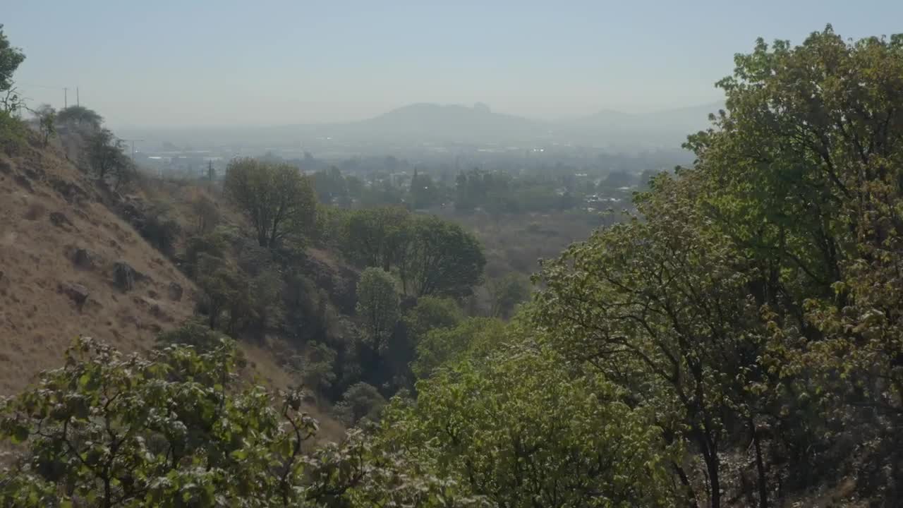 Free Stock Video Walking An Arid Hill Among Its Trees Live Wallpaper
