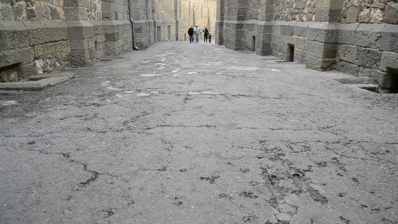 Free Stock Video Vorontsov Palace Streets Live Wallpaper