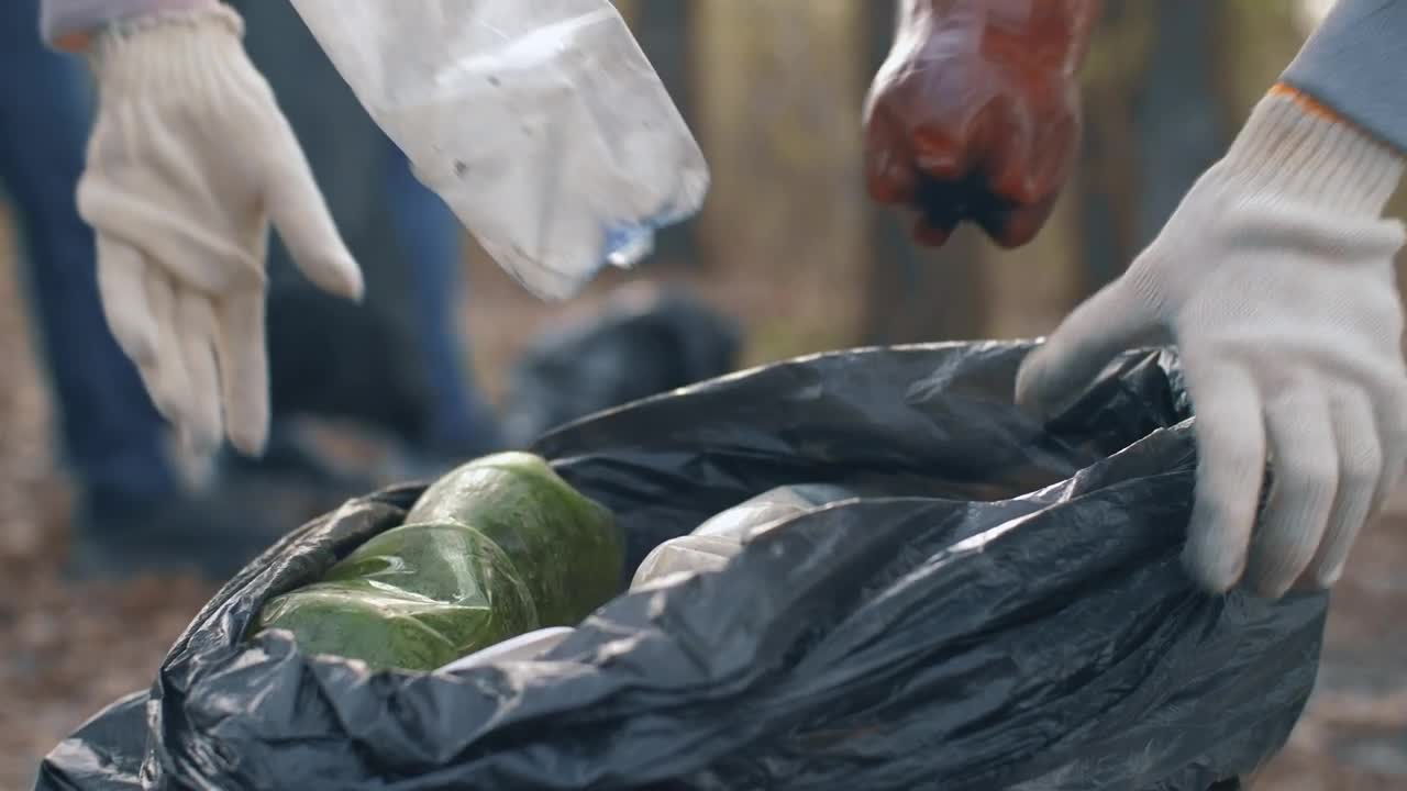 Free Stock Video Volunteers Recycling Plastic And Glass Bottles Live Wallpaper