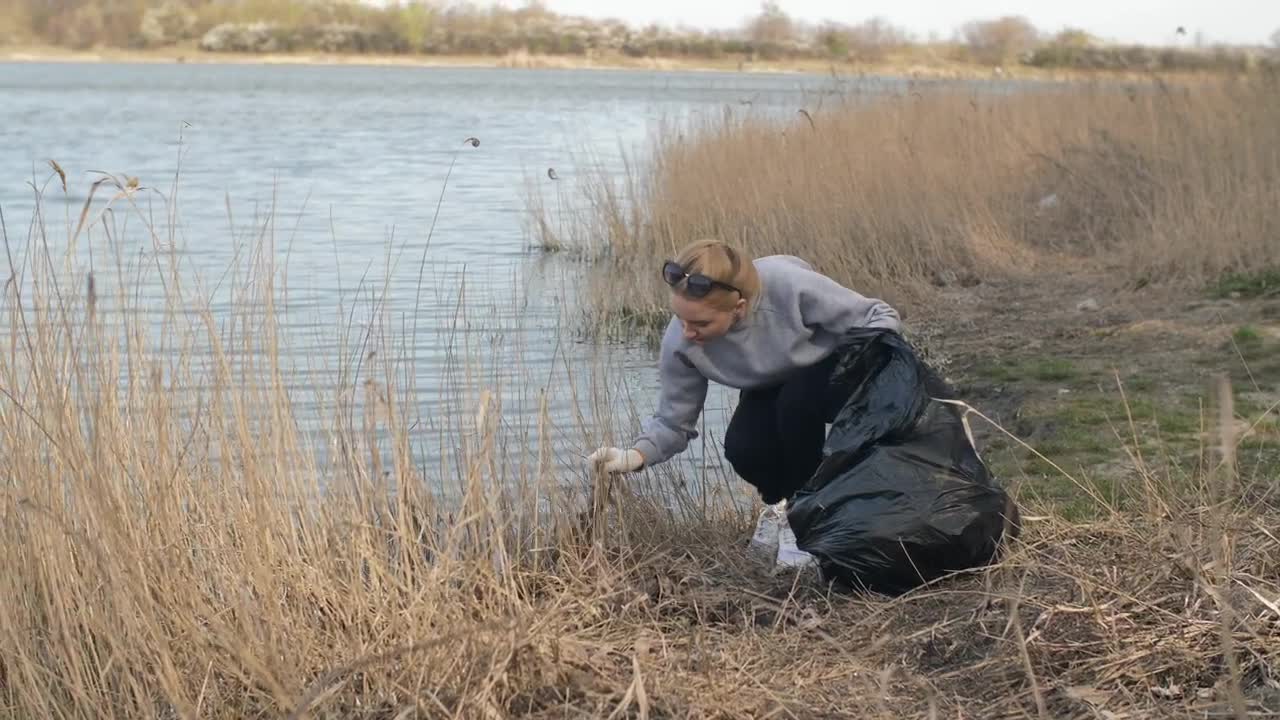 Free Stock Video Volunteer Cleaning Trash From Nature Live Wallpaper