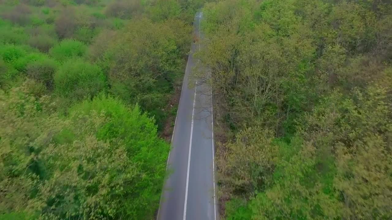 Free Stock Video Vintage Car Heading Down A Forest Road Live Wallpaper