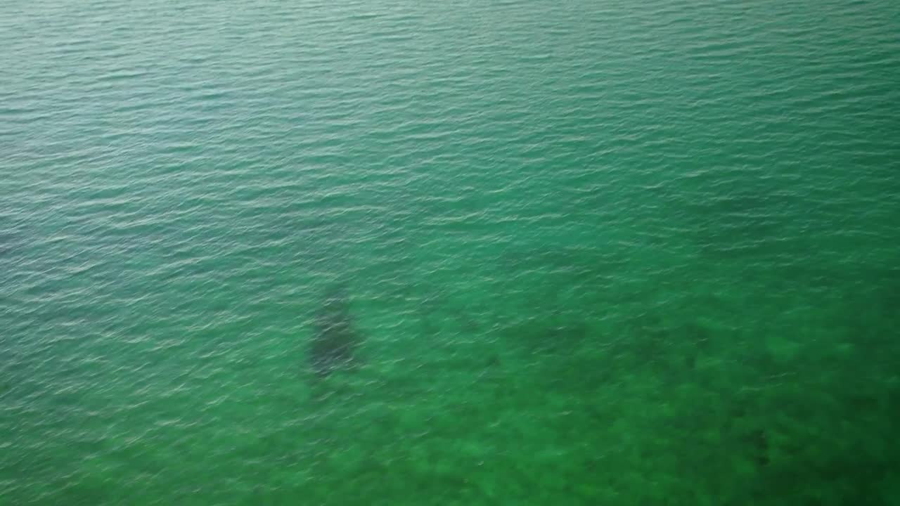 Free Stock Video View Of The Turquoise Blue Sea From A Sunny Beach Live Wallpaper