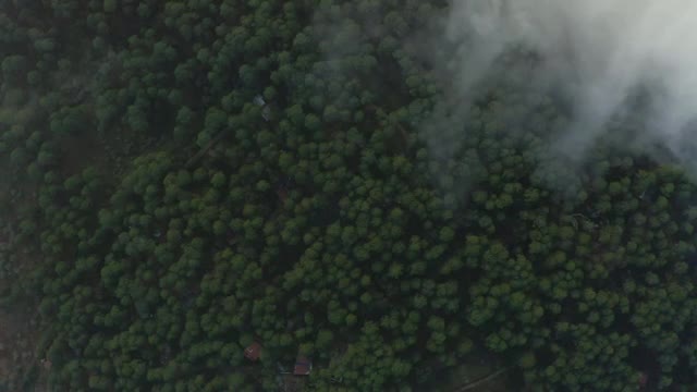 Free Stock Video View High Above A Large Forest Through The Clouds Smalllive Wallpaper