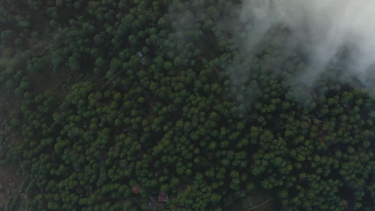 Free Stock Video View High Above A Large Forest Through The Clouds Live Wallpaper