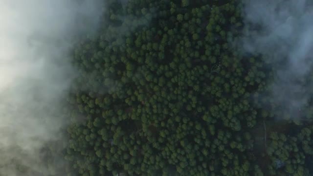 Free Stock Video View Above The Clouds That Cover A Large Forest Smalllive Wallpaper