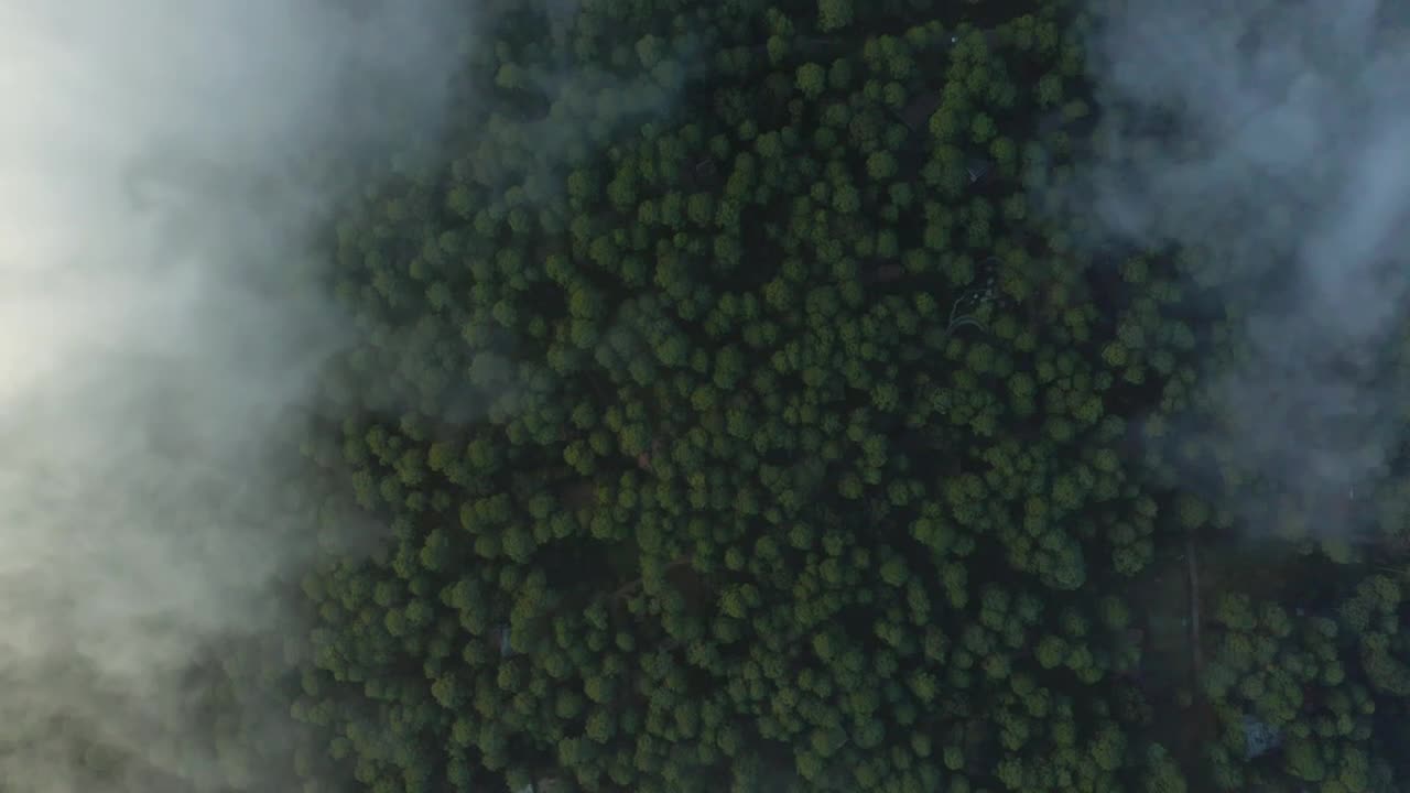 Free Stock Video View Above The Clouds That Cover A Large Forest Live Wallpaper